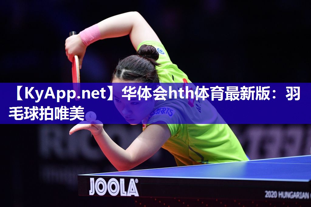 华体会hth体育最新版：羽毛球拍唯美