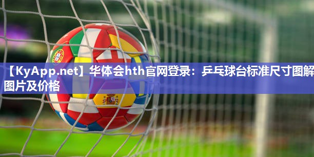 华体会hth官网登录：乒乓球台标准尺寸图解图片及价格