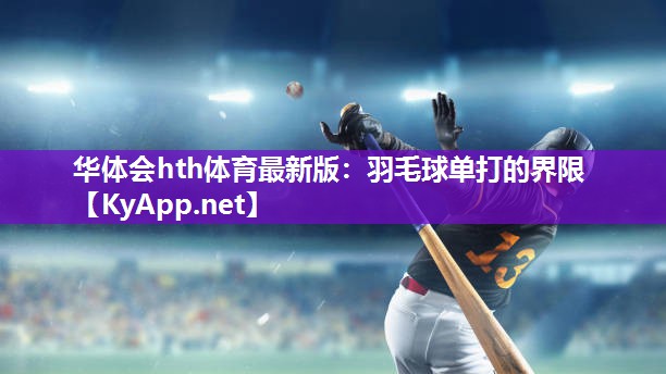 羽毛球单打的界限