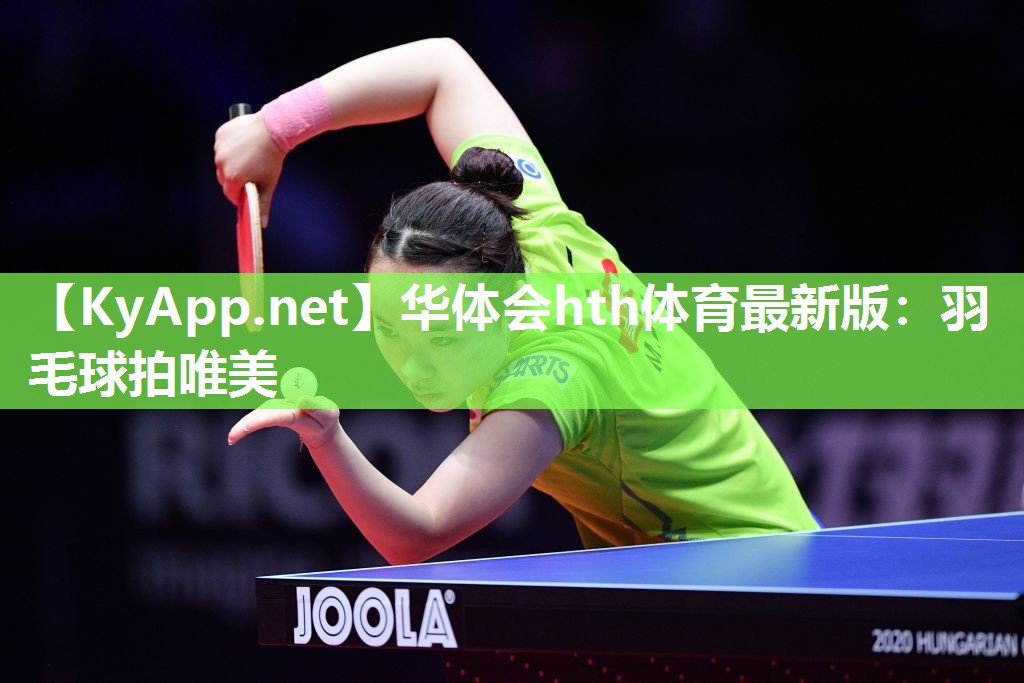 羽毛球拍唯美