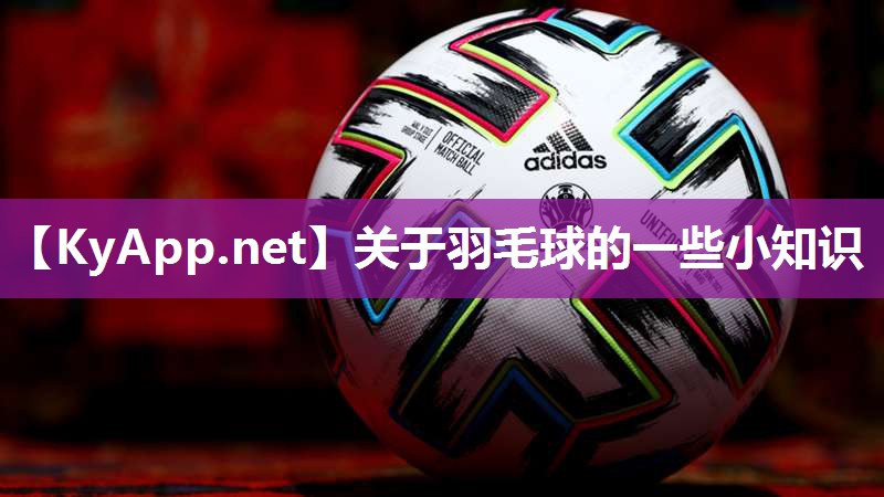 关于羽毛球的一些小知识