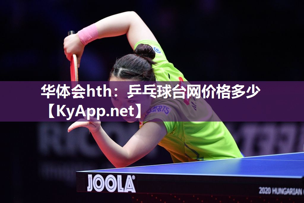 乒乓球台网价格多少