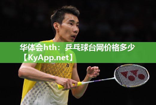 乒乓球台网价格多少