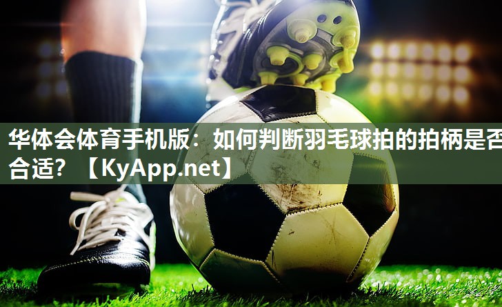 如何判断羽毛球拍的拍柄是否合适？