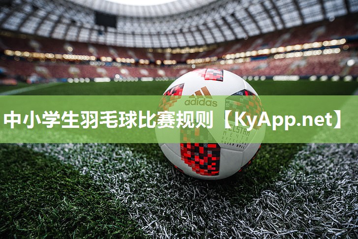中小学生羽毛球比赛规则
