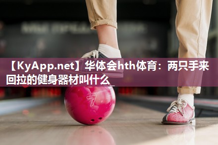 两只手来回拉的健身器材叫什么_