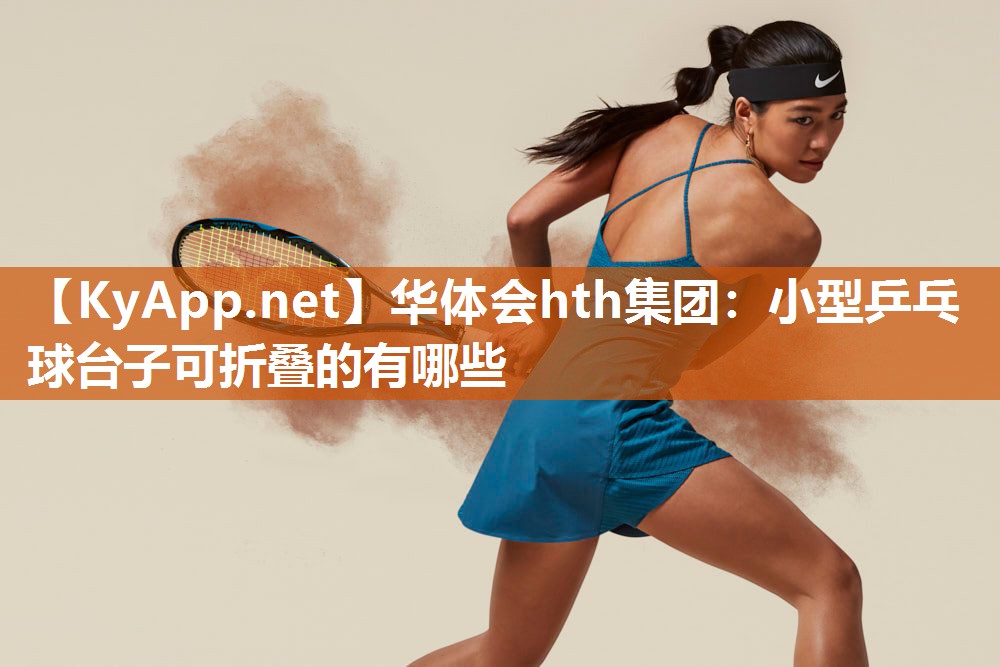 小型乒乓球台子可折叠的有哪些