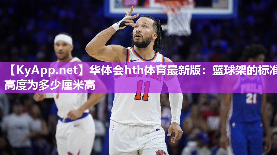 篮球架的标准高度为多少厘米高